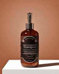 Balice Color Repair & Protect Shampoo